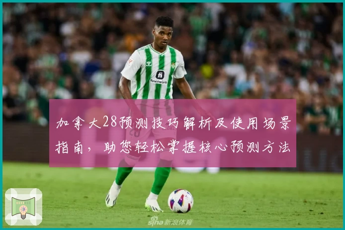 加拿大28预测技巧解析及使用场景指南，助您轻松掌握核心预测方法