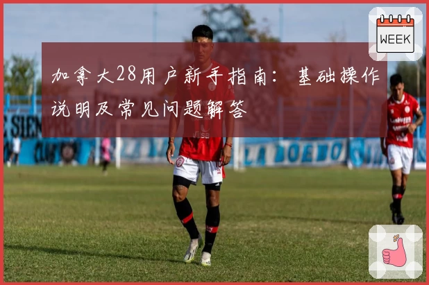 加拿大28用户新手指南：基础操作说明及常见问题解答