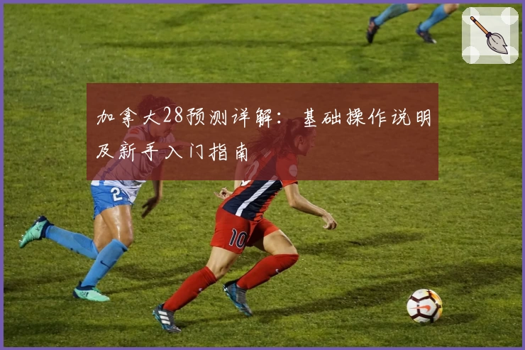 加拿大28预测详解：基础操作说明及新手入门指南