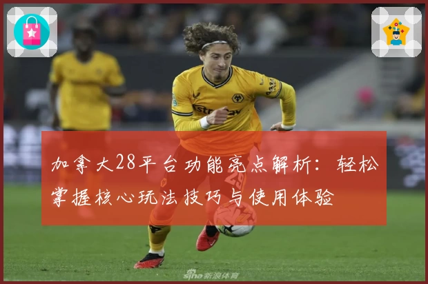 加拿大28平台功能亮点解析：轻松掌握核心玩法技巧与使用体验