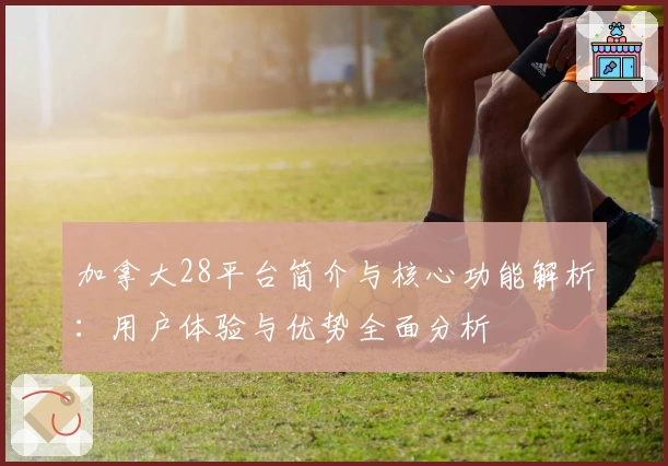 加拿大28平台简介与核心功能解析:用户体验与优势全面分析