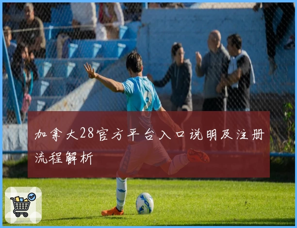 加拿大28官方平台入口说明及注册流程解析