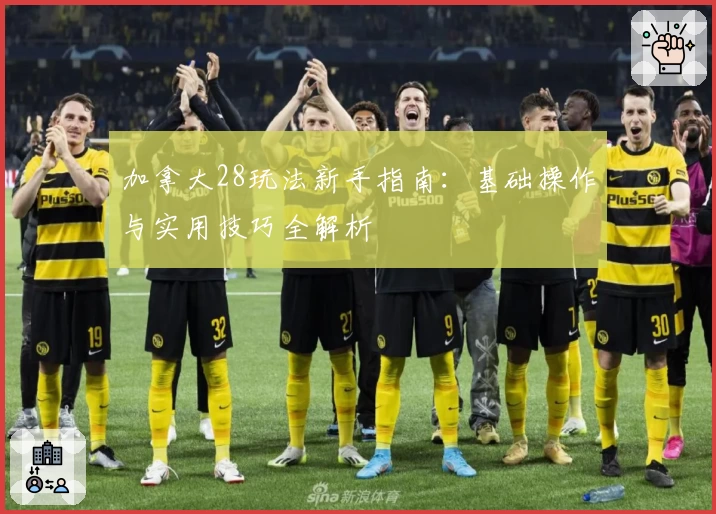 加拿大28玩法新手指南:基础操作与实用技巧全解析