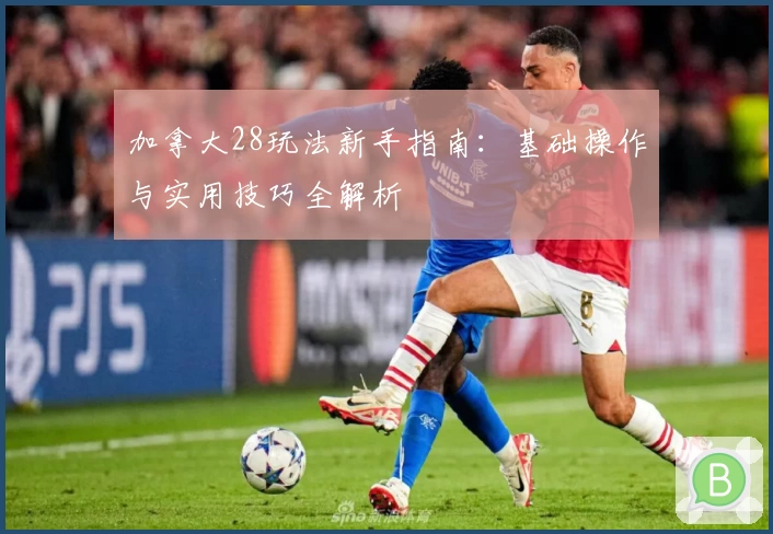 加拿大28玩法新手指南:基础操作与实用技巧全解析