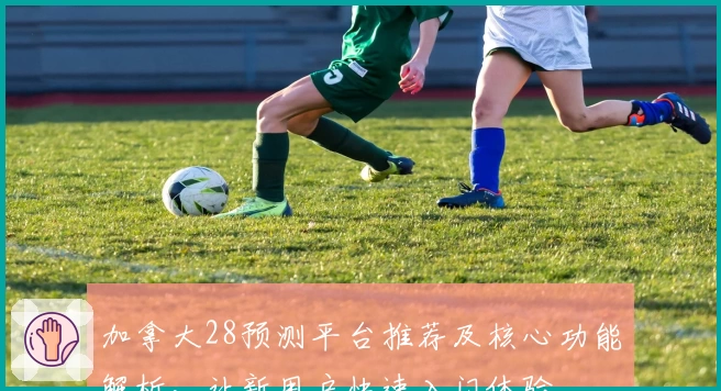 加拿大28预测平台推荐及核心功能解析，让新用户快速入门体验