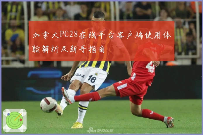 加拿大PC28在线平台客户端使用体验解析及新手指南