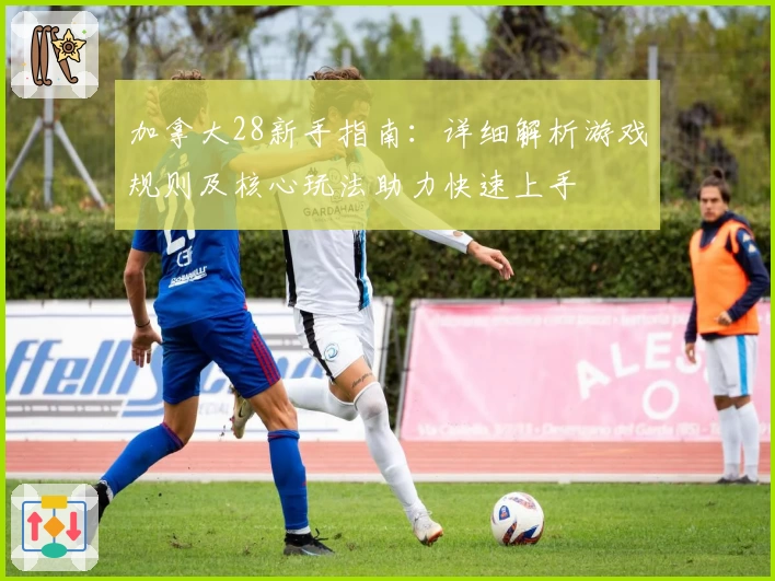 加拿大28新手指南：详细解析游戏规则及核心玩法助力快速上手
