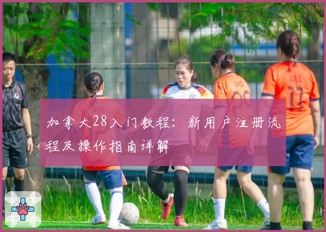 加拿大28入门教程:新用户注册流程及操作指南详解